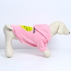 Толстовка Best Friends для собак (футер), размер XS (ДС 18, ОШ 28-30, ОГ 38-40), розовая - Фото 4