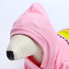 Толстовка Best Friends для собак (футер), размер XS (ДС 18, ОШ 28-30, ОГ 38-40), розовая - Фото 7