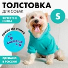 Толстовка Champion для собак (футер), размер S (ДС 23, ОШ 32-34, ОГ 40-44), голубая - фото 319227679