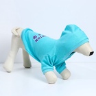 Толстовка Champion для собак (футер), размер S (ДС 23, ОШ 32-34, ОГ 40-44), голубая - Фото 4