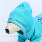 Толстовка Champion для собак (футер), размер S (ДС 23, ОШ 32-34, ОГ 40-44), голубая - Фото 9