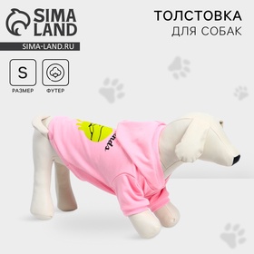 Толстовка Best Friends для собак (футер), размер S (ДС 23, ОШ 32-34, ОГ 40-44), розовая 9345552