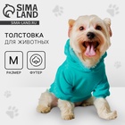 Толстовка Champion для собак (футер), размер M (ДС 26, ОШ 36-38, ОГ 46-50), голубая - Фото 1