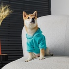 Толстовка Champion для собак (футер), размер M (ДС 26, ОШ 36-38, ОГ 46-50), голубая - Фото 10