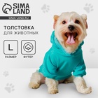 Толстовка Champion для собак (футер), размер L (ДС 30, ОШ 38-40, ОГ 52-56), голубая - Фото 1