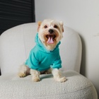 Толстовка Champion для собак (футер), размер L (ДС 30, ОШ 38-40, ОГ 52-56), голубая - Фото 10