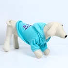 Толстовка Champion для собак (футер), размер L (ДС 30, ОШ 38-40, ОГ 52-56), голубая - Фото 5