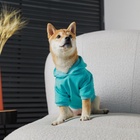 Толстовка Champion для собак (футер), размер L (ДС 30, ОШ 38-40, ОГ 52-56), голубая - Фото 9