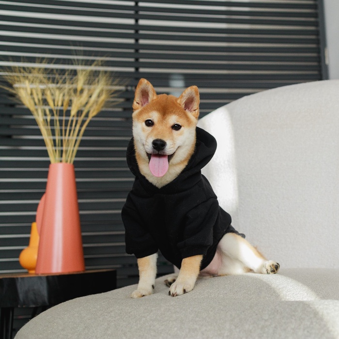 Толстовка Security для собак (футер), размер L (ДС 30, ОШ 38-40, ОГ 52-56), чёрная