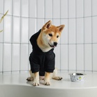 Толстовка Security для собак (футер), размер L (ДС 30, ОШ 38-40, ОГ 52-56), чёрная - фото 24426029