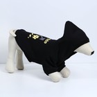 Толстовка Off-Dog для собак (футер с начесом), размер XS (ДС 20, ОШ 30-33, ОГ 38-42), чёрная - фото 6788212