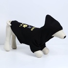 Толстовка Off-Dog для собак (футер с начесом), размер XS (ДС 20, ОШ 30-33, ОГ 38-42), чёрная - фото 21977575