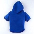 Толстовка однотонная для собак (футер с начесом), размер S (ДС 24, ОШ 33-37, ОГ 42-44), синяя - Фото 2