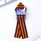 Значок с георгиевской лентой на 9 Мая «Спасибо за мирное небо», 4.4×6.3 см - Фото 2