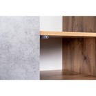 Шкаф 2-х дверный «Хелен 2213.М1», 800 × 500 × 1850 мм, цвет дуб вотан / бетон чикаго - Фото 4