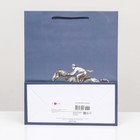 Пакет подарочный "Лошадь" 26 х 32 х 12 см - фото 25416524