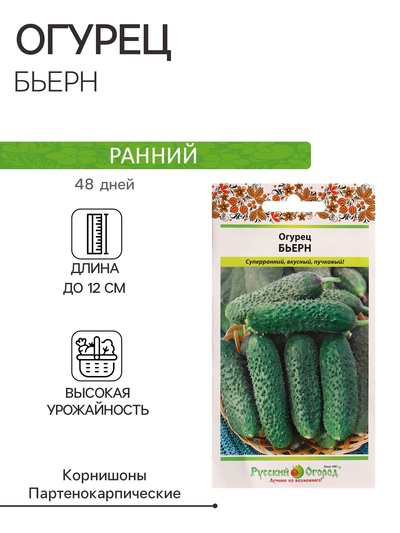 Семена Огурец Бьерн F1 5 шт