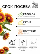 Семена цветов Гацания «Солнечный свет» смесь 0.2 г - Фото 2