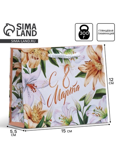 Пакет подарочный ламинированный, упаковка, «8 марта», S 12×15×5.5 см