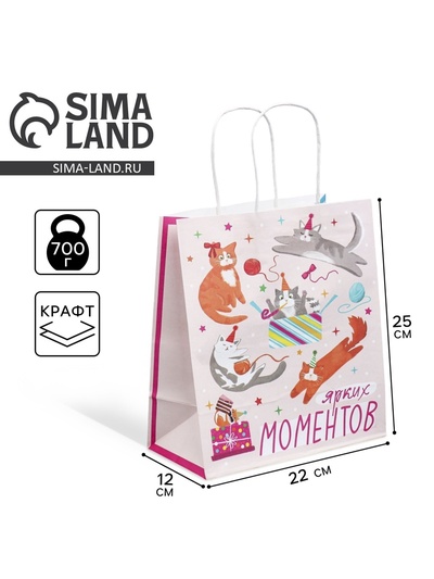 Пакет подарочный крафтовый, упаковка, «Вечеринка», 22×25×12 см