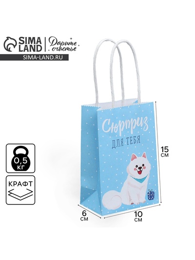 Пакет подарочный крафтовый, упаковка, «Сюрприз для тебя», 15×10×6 см