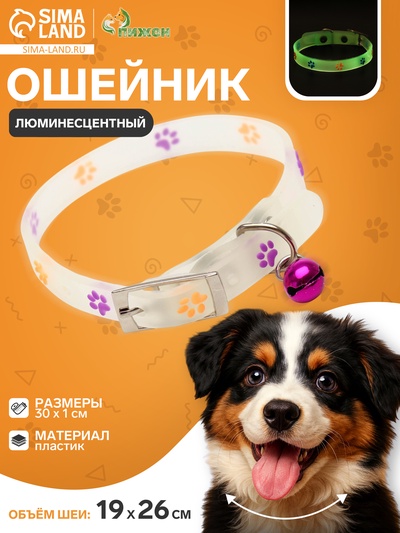 Ошейник «Яркие следы», 30×1 с, светящийся в темноте, люминесцентный, белый