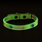Ошейник «Яркие следы», 30×1 с, светящийся в темноте, люминесцентный, белый 9164339