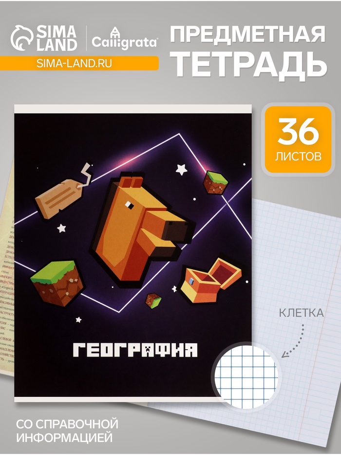 Предметная тетрадь по географии Calligrata «Пиксели», 36 листов, в клетку, со справочным материалом, обложка из мелованного картона - Фото 1