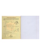 Предметная тетрадь по геометрии Calligrata «Пиксели», 36 листов, в клетку, со справочным материалом, обложка из мелованного картона - Фото 5