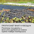 Агроткань застилочная, с разметкой, 10 × 3,2 м, плотность 100 г/м², полипропилен, Greengo, Эконом 50% 9393086 - фото 2861880