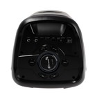 Портативная караоке система Eltronic Dance Box 100, 40 Вт, BT, SD, AUX, TWS, подсветка - фото 51459099 Портативная караоке система Eltronic Dance Box 100, 40 Вт, BT, SD, AUX, TWS, подсветка - фото 51459099