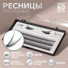 Набор накладных ресниц «Ласточкин хвост», пучки, 10, 12, 14 мм, толщина 0,1 мм, изгиб D, 12 D - Фото 1