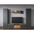 Тумба под ТВ Афина, 2002х426х450, цвет дуб крафт золотой / антрацит - фото 21983302