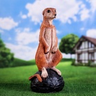 Садовая фигура из полистоуна «Большой сурикат на камне», 60×24×22 см - Фото 10