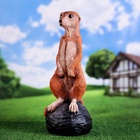 Садовая фигура из полистоуна «Большой сурикат на камне», 60×24×22 см 9438635 - фото 319845662