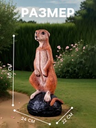 Садовая фигура из полистоуна «Большой сурикат на камне», 60×24×22 см - Фото 2