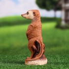 Садовая фигура из полистоуна «Сурикат маленький», 22×8×8 см - Фото 2