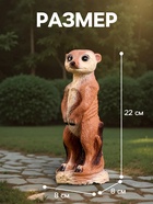 Садовая фигура из полистоуна «Сурикат маленький», 22×8×8 см - Фото 2