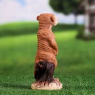 Садовая фигура из полистоуна «Сурикат маленький», 22×8×8 см - Фото 3