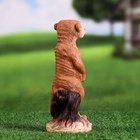 Садовая фигура из полистоуна «Сурикат маленький», 22×8×8 см 9438642