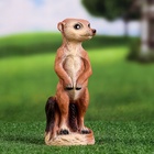 Садовая фигура из полистоуна «Сурикат маленький», 22×8×8 см 9438642