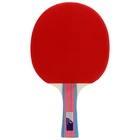 Ракетка для настольного тенниса BOSHIKA Control 9, для начинающих, губка 1.8 мм, коническая ручка - Фото 8