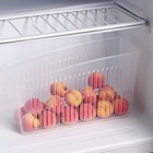 Контейнер для холодильника, 24,5×9,5×14 см - фото 5024175