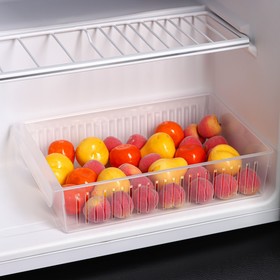 Контейнер для холодильника, 29×19,5×7 см, цвет прозрачный