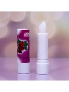 Бальзам для губ «Фрукты и ягоды», микс цветов и ароматов 9305286