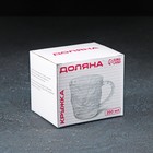 Кружка стеклянная Доляна «Айс», 250 мл, цвет прозрачный - фото 21984153