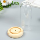 Клош стеклянный мини 13,2х6,4х6,4 см - фото 24426071