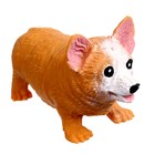 Антистресс сквиш мялка «Корги», с песком, тянучка, в шоубоксе - Фото 4