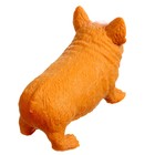 Антистресс сквиш мялка «Корги», с песком, тянучка, в шоубоксе - Фото 2