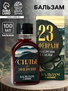 Бальзам с мумиё «С 23 февраля»: шиповник, черноплодная рябина, боярышник, смородина, календула, зверобой, 100 мл. - Фото 1